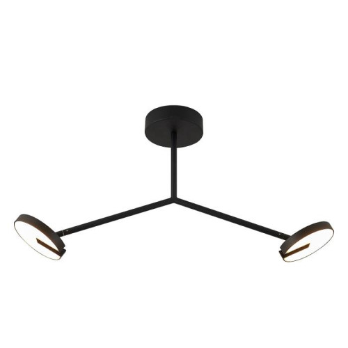 Потолочная люстра Favourite Paritet 4401-2C