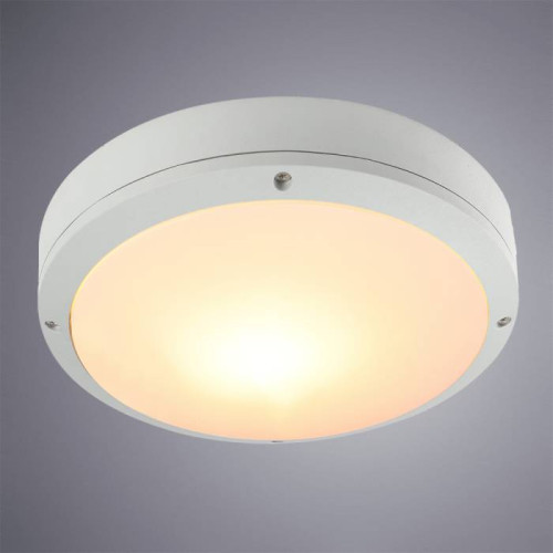 Уличные потолочные Arte Lamp City A8154PF-2WH