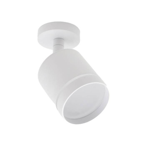 Светильник спот Escada 20009 20009SMA/02LED SWH