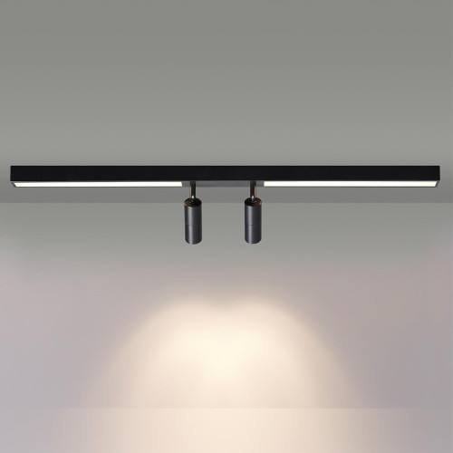 Светильник потолочный Lumion Hawk 5690/14CL