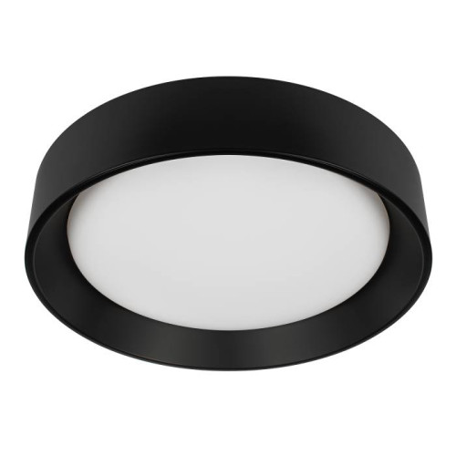 Светильник потолочный Loft It Coin 10202 BB