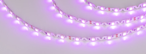 LED лента Arlight RZ волна 018218
