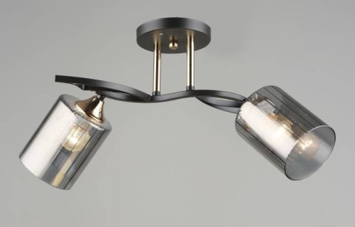 Потолочная люстра Мелодия Света 000066060