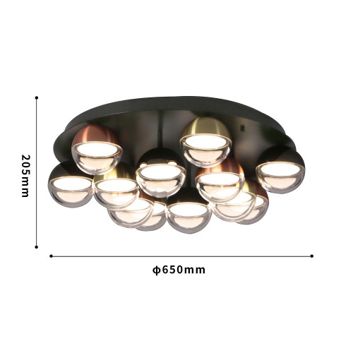 Потолочная люстра Favourite Luna 4371-12C