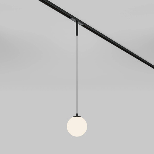 Трековый светильник Maytoni Luna TR178-1-5WTW-B