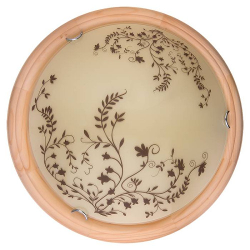 Настенно потолочный светильник Toplight Irene TL9630Y-00PN