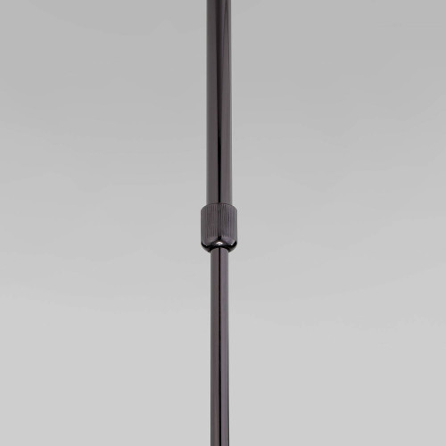 Светильник потолочный Eurosvet Pacific 50255/1 черный жемчуг