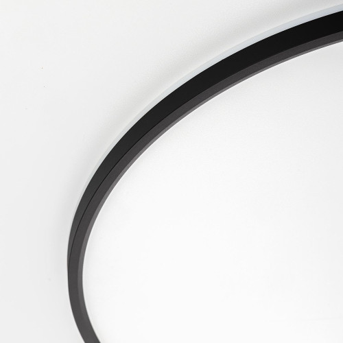 Светильник потолочный Citilux NORMA CL749601