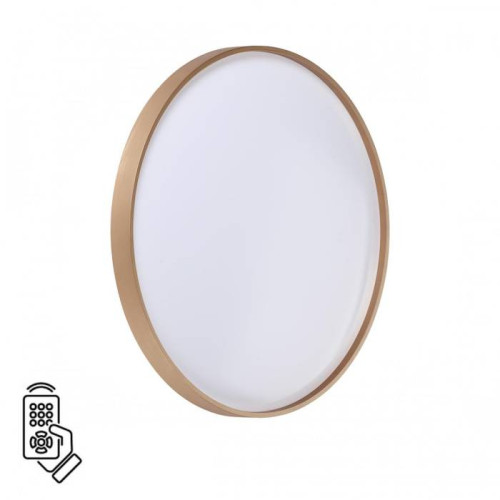 Настенно потолочный светильник Sonex Gaby 7783/EL