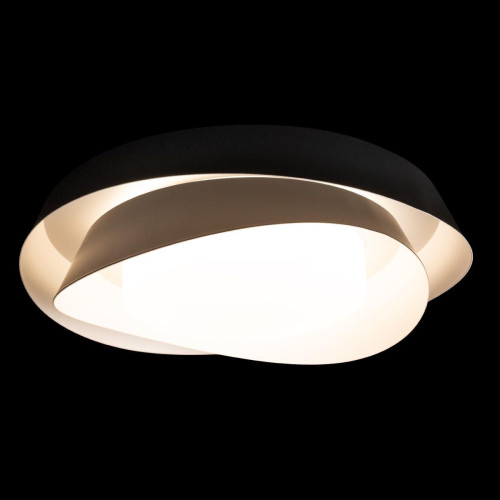 Светильник потолочный Loft It Petale 10256 Black