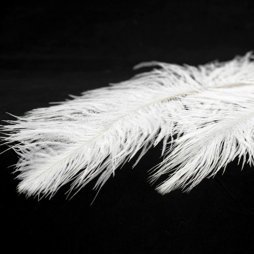 Подвесная люстра Lussole LSP-8601