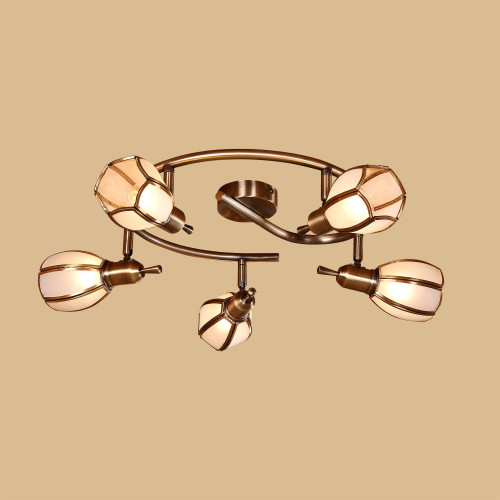 Потолочная люстра Citilux Альтен-2 CL522651