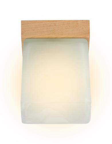 Светильник потолочный Мелодия Света Nika 000036813