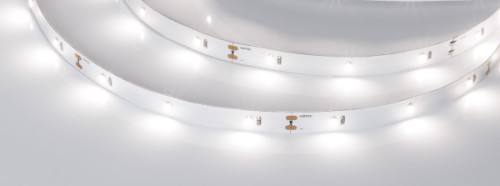 LED лента Arlight RT открытая 019674