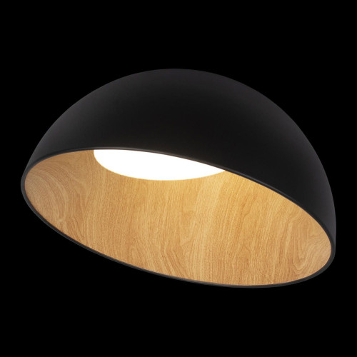 Светильник потолочный Loft It Egg 10197/500 Black