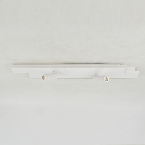 Светильник потолочный Escada 20047Led 20047SMA/02LED WH