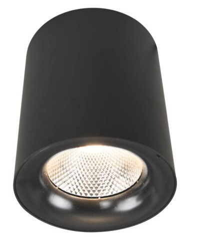 Накладной светильник Arte Lamp Facile A5118PL-1BK