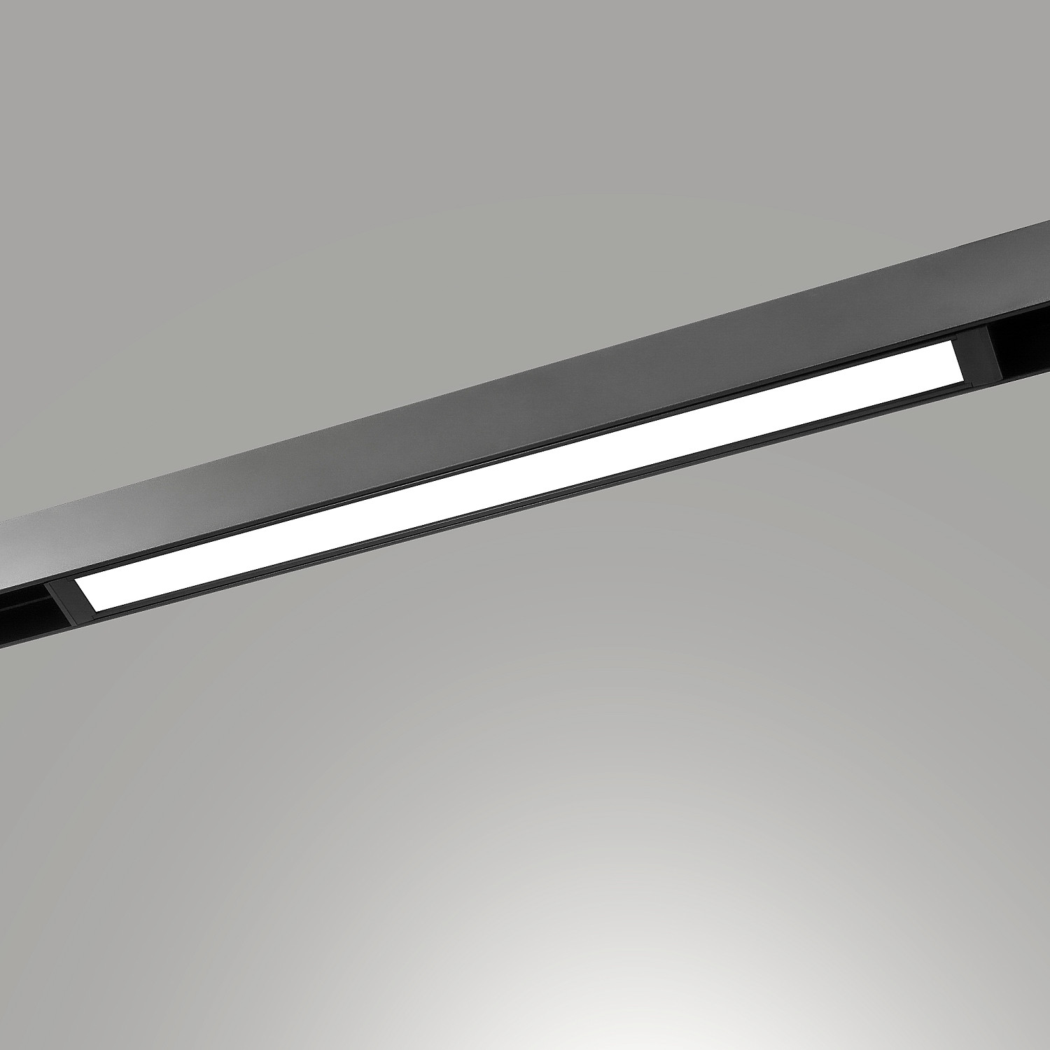 Трековый светильник LIGHTERA Startrek 220 LE169TRL-18B3K