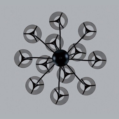 Потолочная люстра Lumion Smoky 6570/12C