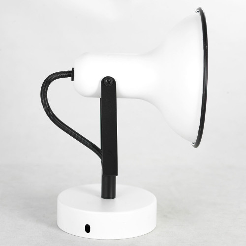 Светильник спот Lussole Fargo LSP-8801