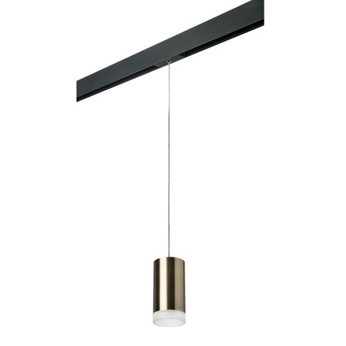 Трековый светильник Lightstar Rullo PRORP43130