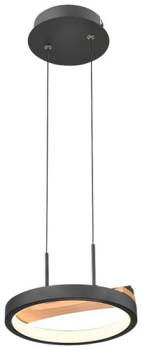 Светильник подвесной Velante 450-023-01