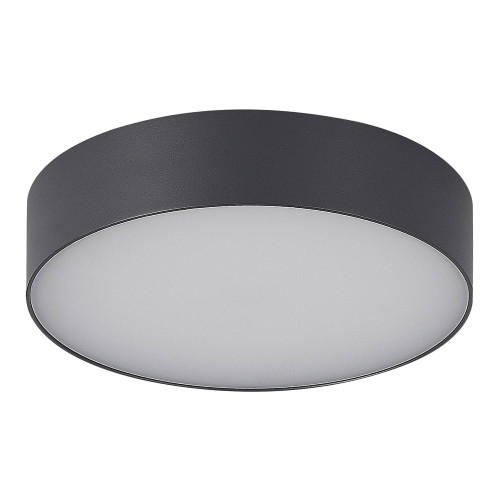 Уличный потолочный светильник ST Luce Sun SL9518.702.01