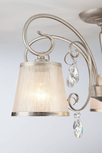 Потолочная люстра Eurosvet Liona 60065/5 серебро