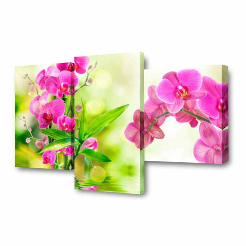 Модульные картины Toplight TL-MM1073