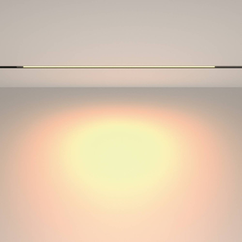 Трековый светильник Maytoni Basis TR231-2-15W3K-B