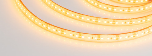 LED лента Arlight RTW герметичная 014950(2)