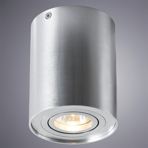 Накладной светильник Arte Lamp Falcon A5644PL-1SI