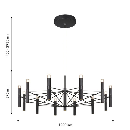 Подвесная люстра Favourite Blick 4758-12P