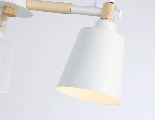 Потолочная люстра Ambrella Loft TR82204