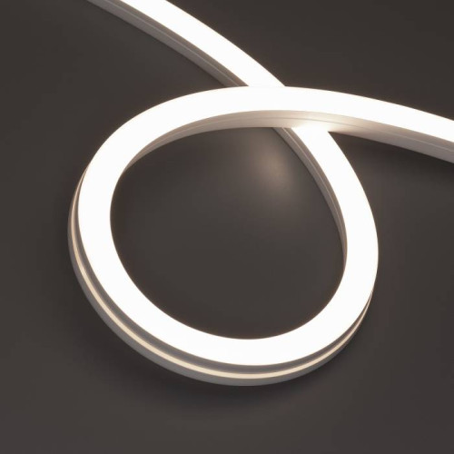 Светодиодный шнур Arlight Moonlight 044244