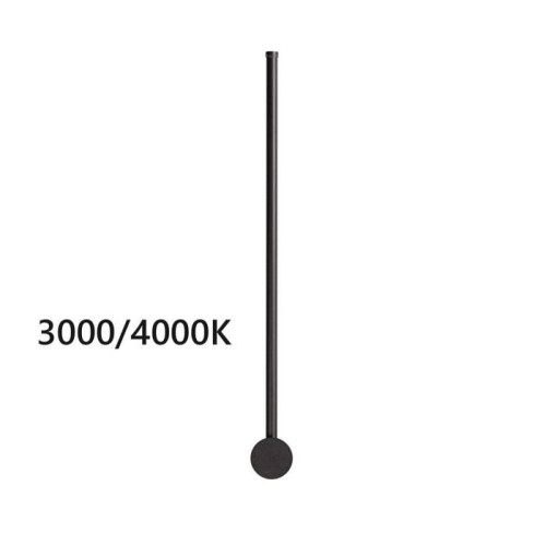 Настенный светильник Odeon Light Fillini 4335/12WLP