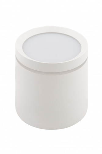 Накладной светильник Denkirs Dk4016 DK4016-WH