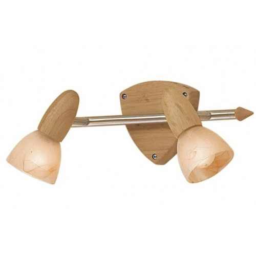 Светильник спот Citilux Монте CL505521