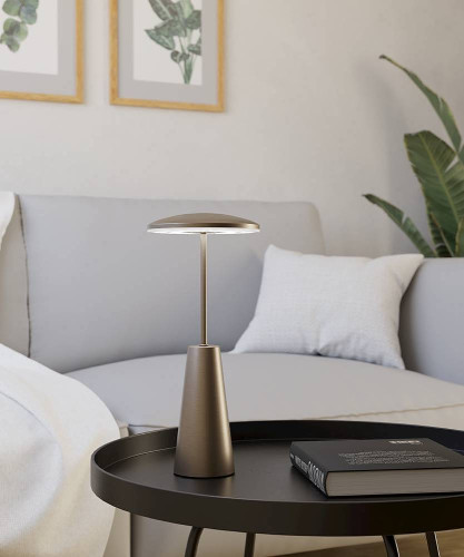 Уличный наземный светильник Eglo Piccola 900924