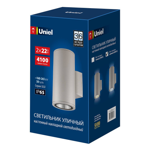 Уличный настенный светильник Uniel ULU-S22D-2x22W/6400K IP65 LIGHT GREY