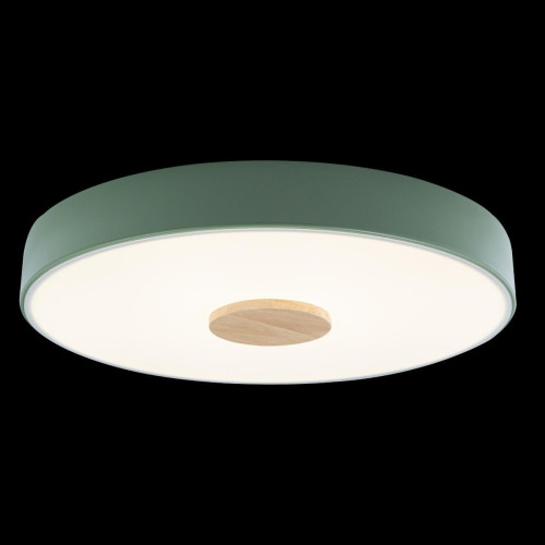 Светильник потолочный Loft It Axel 10003/24 Green