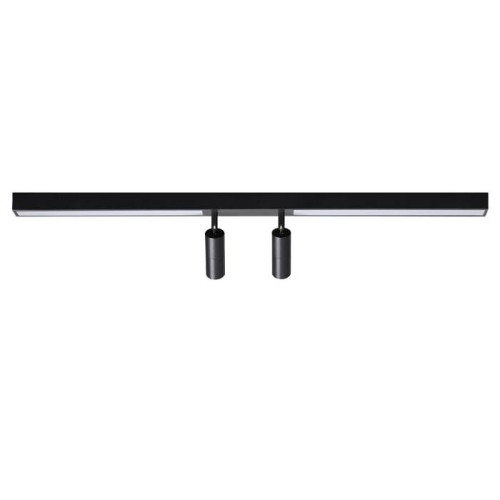 Светильник потолочный Lumion Hawk 5690/14CL