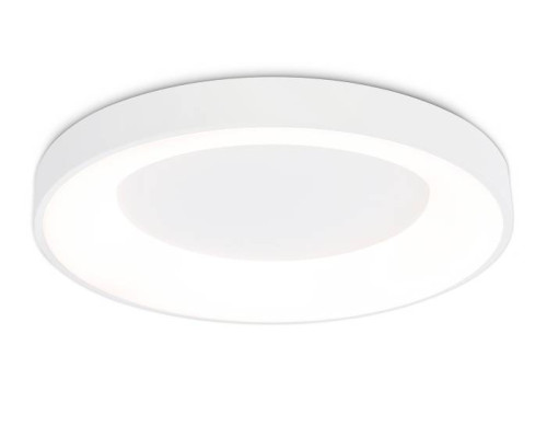 Светильник потолочный Ambrella Design FZ1401