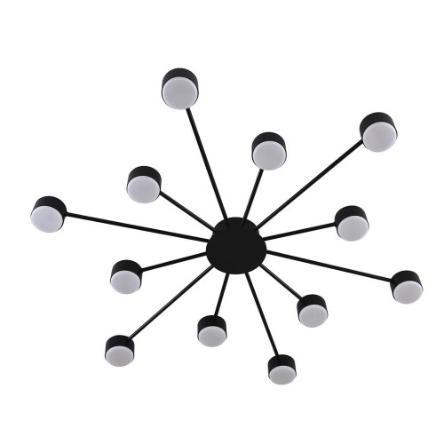 Потолочная люстра Lumion Torina 8344/12C