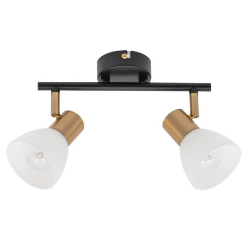 Светильник спот Arte Lamp Falena A3117PL-2BK