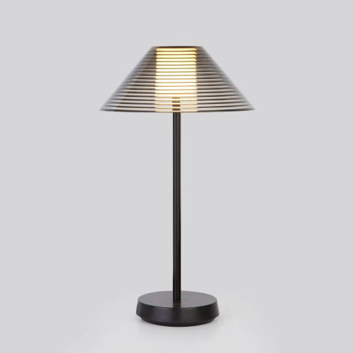 Настольная лампа Elektrostandard Mistery Mistery чёрный (TL70210)