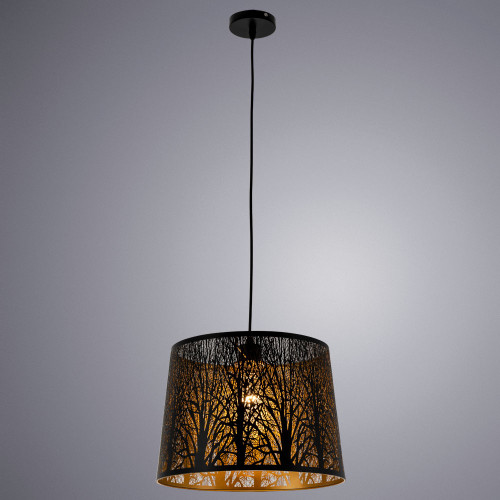 Светильник подвесной Arte Lamp Celesta A2769SP-1BK