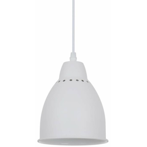 Светильник подвесной Arte Lamp Braccio A2054SP-1WH
