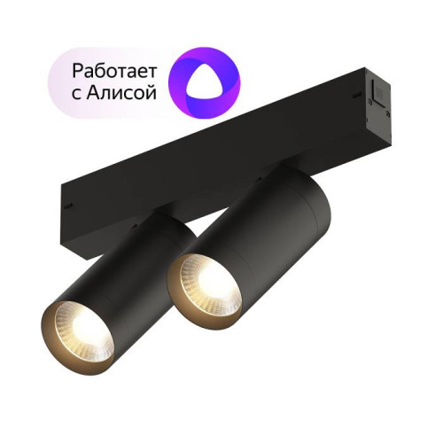 Трековый светильник Denkirs Smart Spot DK8012-BK