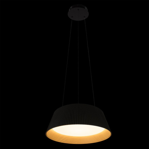 Светильник подвесной Loft It Evans 10224P Black
